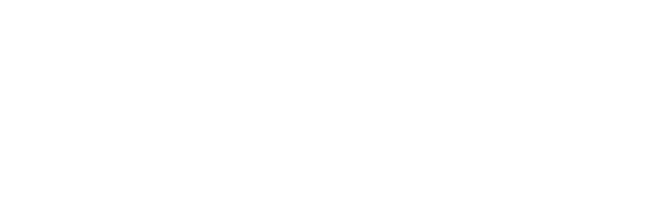 Global Leaders
